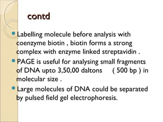 ccoonnttdd 
Labelling molecule before analysis with 
coenzyme biotin , biotin forms a strong 
complex with enzyme linked streptavidin . 
PAGE is useful for analysing small fragments 
of DNA upto 3,50,00 daltons ( 500 bp ) in 
molecular size . 
Large molecules of DNA could be separated 
by pulsed field gel electrophoresis. 
 