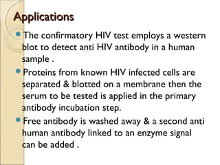 AApppplliiccaattiioonnss 
The confirmatory HIV test employs a western 
blot to detect anti HIV antibody in a human 
sample . 
Proteins from known HIV infected cells are 
separated & blotted on a membrane then the 
serum to be tested is applied in the primary 
antibody incubation step. 
Free antibody is washed away & a second anti 
human antibody linked to an enzyme signal 
can be added . 
 