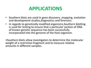 APPLICATIONS
• Southern blots are used in gene discovery ,mapping, evolution
and development studies,diagnostics and forensics.
• In regards to genetically modified organisms,Southern blotting
is used for testing to ensure that a particular section of DNA
of known genetic sequence has been successfully
incorporated into the genome of the host organism.
•Southern blots allow investigators to determine the molecular
weight of a restriction fragment and to measure relative
amounts in different samples.
 