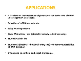 APPLICATIONS
• A standard for the direct study of gene expression at the level of mRNA
(messenger RNA transcripts).
• Detection of mRNA transcript size
• Study RNA degradation
• Study RNA splicing - can detect alternatively spliced transcripts
• Study RNA half-life
• Study IRES (internal ribosomal entry site) – to remove possibility
of RNA digestion .
• Often used to confirm and check transgenic.
 