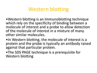 Western blotting
•Western blotting is an Immunoblotting technique
which rely on the specificity of binding between a
molecule of interest and a probe to allow detection
of the molecule of interest in a mixture of many
other similar molecules.
•In Western blotting, the molecule of interest is a
protein and the probe is typically an antibody raised
against that particular protein.
•The SDS PAGE technique is a prerequisite for
Western blotting
 