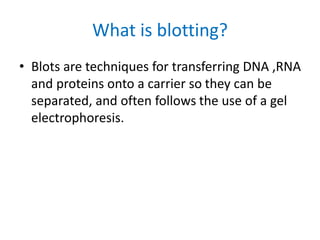 What is blotting?
• Blots are techniques for transferring DNA ,RNA
and proteins onto a carrier so they can be
separated, and often follows the use of a gel
electrophoresis.
 