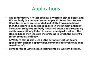 Applications
• The confirmatory HIV test employs a Western blot to detect anti-
HIV antibody in a human serum sample. Proteins from known
HIV-infected cells are separated and blotted on a membrane
then,the serum to be tested is applied in the primary antibody
incubation step; free antibody is washed away, and a secondary
anti-human antibody linked to an enzyme signal is added. The
stained bands then indicate the proteins to which the patient's
serum contains antibody.
• A Western blot is also used as the definitive test for Bovine
spongiform encephalopathy (BSE,commonly referred to as 'mad
cow disease').
• Some forms of Lyme disease testing employ Western blotting.
 