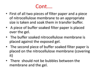 Cont….
• First of all two pieces of filter paper and a piece
of nitrocellulose membrane to an appropriate
size is taken and soak them in transfer buffer.
• A piece of buffer soaked filter paper is placed
over the gel.
• The buffer soaked nitrocellulose membrane is
placed against the exposed gel.
• The second piece of buffer soaked filter paper is
placed on the nitrocellulose membrane (covering
it)
• There should not be bubbles between the
membrane and the gel.
 