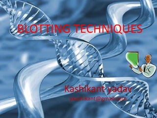 BLOTTING TECHNIQUES
Kashikant yadav
ykashikant@gmail.com
 