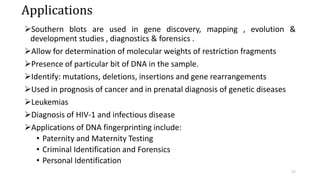 Applications
Southern blots are used in gene discovery, mapping , evolution &
development studies , diagnostics & forensics .
Allow for determination of molecular weights of restriction fragments
Presence of particular bit of DNA in the sample.
Identify: mutations, deletions, insertions and gene rearrangements
Used in prognosis of cancer and in prenatal diagnosis of genetic diseases
Leukemias
Diagnosis of HIV-1 and infectious disease
Applications of DNA fingerprinting include:
• Paternity and Maternity Testing
• Criminal Identification and Forensics
• Personal Identification
17
 