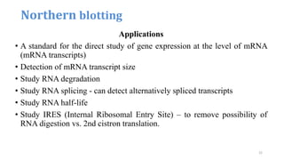 Applications
• A standard for the direct study of gene expression at the level of mRNA
(mRNA transcripts)
• Detection of mRNA transcript size
• Study RNA degradation
• Study RNA splicing - can detect alternatively spliced transcripts
• Study RNA half-life
• Study IRES (Internal Ribosomal Entry Site) – to remove possibility of
RNA digestion vs. 2nd cistron translation.
Northern blotting
22
 