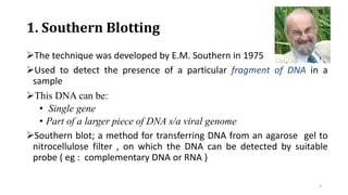 1. Southern Blotting
The technique was developed by E.M. Southern in 1975
Used to detect the presence of a particular fragment of DNA in a
sample
This DNA can be:
• Single gene
• Part of a larger piece of DNA s/a viral genome
Southern blot; a method for transferring DNA from an agarose gel to
nitrocellulose filter , on which the DNA can be detected by suitable
probe ( eg : complementary DNA or RNA )
3
 