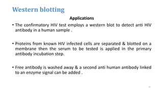 Applications
• The confirmatory HIV test employs a western blot to detect anti HIV
antibody in a human sample .
• Proteins from known HIV infected cells are separated & blotted on a
membrane then the serum to be tested is applied in the primary
antibody incubation step.
• Free antibody is washed away & a second anti human antibody linked
to an enzyme signal can be added .
Western blotting
31
 