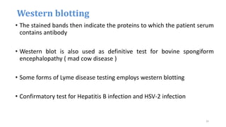 • The stained bands then indicate the proteins to which the patient serum
contains antibody
• Western blot is also used as definitive test for bovine spongiform
encephalopathy ( mad cow disease )
• Some forms of Lyme disease testing employs western blotting
• Confirmatory test for Hepatitis B infection and HSV-2 infection
Western blotting
32
 