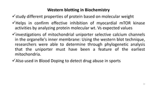 Western blotting in Biochemistry
study different properties of protein based on molecular weight
Helps in confirm effective inhibition of myocardial mTOR kinase
activities by analyzing protein molecular wt. Vs expected values
investigations of mitochondrial uniporter selective calcium channels
in the organelle's inner membrane: Using the western blot technique,
researchers were able to determine through phylogenetic analysis
that the uniporter must have been a feature of the earliest
mitochondria.
Also used in Blood Doping to detect drug abuse in sports
33
 