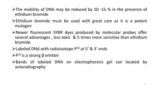 The mobility of DNA may be reduced by 10 -15 % in the presence of
ethidium bromide
Ethidium bromide must be used with great care as it is a potent
mutagen
Newer fluorescent SYBR dyes produced by molecular probes offer
several advantages , less toxic & 5 times more sensitive than ethidium
bromide
Labeled DNA with radioisotope P32 at 5’ & 3’ ends
P32 is a strong β emitter
Bands of labeled DNA on electrophoresis gel can located by
autoradiography
8
 