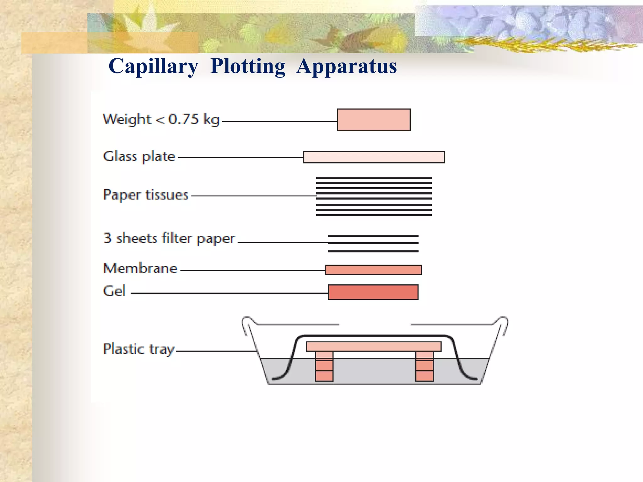 Capillary Plotting Apparatus
 