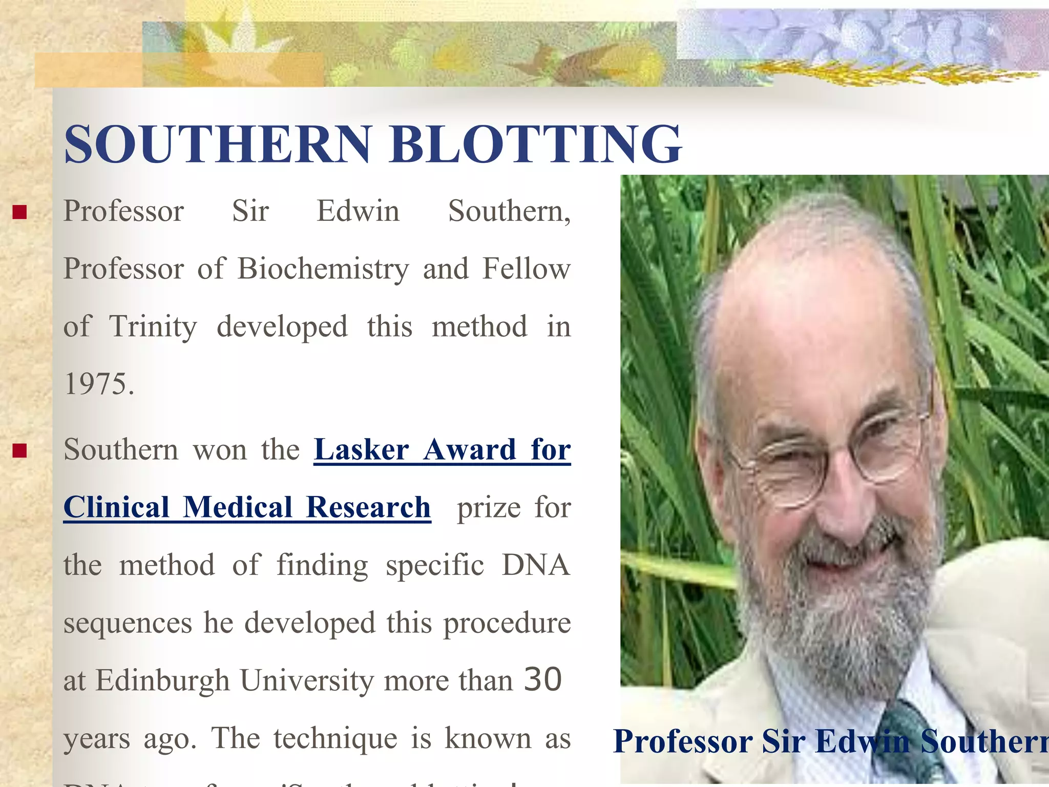 SOUTHERN BLOTTING
 Professor Sir Edwin Southern,
Professor of Biochemistry and Fellow
of Trinity developed this method in
1975.
 Southern won the Lasker Award for
Clinical Medical Research prize for
the method of finding specific DNA
sequences he developed this procedure
at Edinburgh University more than 30
years ago. The technique is known as Professor Sir Edwin Southern
 