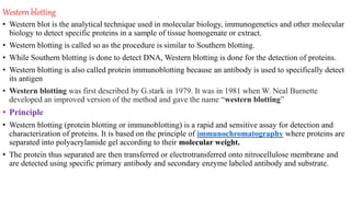 Western blotting
• Western blot is the analytical technique used in molecular biology, immunogenetics and other molecular
biology to detect specific proteins in a sample of tissue homogenate or extract.
• Western blotting is called so as the procedure is similar to Southern blotting.
• While Southern blotting is done to detect DNA, Western blotting is done for the detection of proteins.
• Western blotting is also called protein immunoblotting because an antibody is used to specifically detect
its antigen
• Western blotting was first described by G.stark in 1979. It was in 1981 when W. Neal Burnette
developed an improved version of the method and gave the name “western blotting”
• Principle
• Western blotting (protein blotting or immunoblotting) is a rapid and sensitive assay for detection and
characterization of proteins. It is based on the principle of immunochromatography where proteins are
separated into polyacrylamide gel according to their molecular weight.
• The protein thus separated are then transferred or electrotransferred onto nitrocellulose membrane and
are detected using specific primary antibody and secondary enzyme labeled antibody and substrate.
 