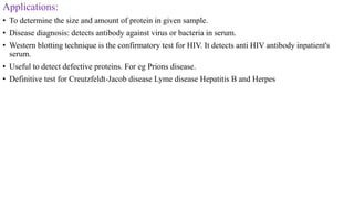 Applications:
• To determine the size and amount of protein in given sample.
• Disease diagnosis: detects antibody against virus or bacteria in serum.
• Western blotting technique is the confirmatory test for HIV. It detects anti HIV antibody inpatient's
serum.
• Useful to detect defective proteins. For eg Prions disease.
• Definitive test for Creutzfeldt-Jacob disease Lyme disease Hepatitis B and Herpes
 
