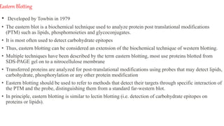 Eastern Blotting
• Developed by Towbin in 1979
• The eastern blot is a biochemical technique used to analyze protein post translational modifications
(PTM) such as lipids, phosphomoieties and glycoconjugates.
• It is most often used to detect carbohydrate epitopes
• Thus, eastern blotting can be considered an extension of the biochemical technique of western blotting.
• Multiple techniques have been described by the term eastern blotting, most use proteins blotted from
SDS-PAGE gel on to a nitrocellulose membrane
• Transferred proteins are analyzed for post-translational modifications using probes that may detect lipids,
carbohydrate, phosphorylation or any other protein modification
• Eastern blotting should be used to refer to methods that detect their targets through specific interaction of
the PTM and the probe, distinguishing them from a standard far-western blot.
• In principle, eastern blotting is similar to lectin blotting (i.e. detection of carbohydrate epitopes on
proteins or lipids).
 