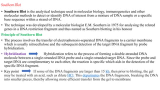 Southern Blot
• Southern Blot is the analytical technique used in molecular biology, immunogenetics and other
molecular methods to detect or identify DNA of interest from a mixture of DNA sample or a specific
base sequence within a strand of DNA.
• The technique was developed by a molecular biologist E.M. Southern in 1975 for analysing the related
genes in a DNA restriction fragment and thus named as Southern blotting in his honour
Principle of Southern Blot
• The process involves the transfer of electrophoresis-separated DNA fragments to a carrier membrane
which is usually nitrocellulose and the subsequent detection of the target DNA fragment by probe
hybridization.
• Hybridization Hybridization refers to the process of forming a double-stranded DNA
molecule between a single-stranded DNA probe and a single-stranded target DNA. Since the probe and
target DNA are complementary to each other, the reaction is specific which aids in the detection of the
specific DNA fragment.
• Key point If some of the DNA fragments are larger than 15 kb, then prior to blotting, the gel
may be treated with an acid, such as dilute HCl. This depurinates the DNA fragments, breaking the DNA
into smaller pieces, thereby allowing more efficient transfer from the gel to membrane
 