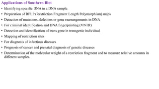 Applications of Southern Blot
• Identifying specific DNA in a DNA sample.
• Preparation of RFLP (Restriction Fragment Length Polymorphism) maps
• Detection of mutations, deletions or gene rearrangements in DNA
• For criminal identification and DNA fingerprinting (VNTR)
• Detection and identification of trans gene in transgenic individual
• Mapping of restriction sites
• For diagnosis of infectious diseases
• Prognosis of cancer and prenatal diagnosis of genetic diseases
• Determination of the molecular weight of a restriction fragment and to measure relative amounts in
different samples.
 