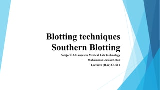 Blotting techniques
Southern Blotting
Subject: Advances in Medical Lab Technology
Muhammad Jawad Ullah
Lecturer (H.sc) CUSIT
 