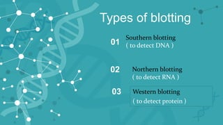Blotting techniques dr.raza