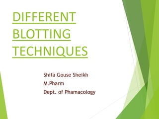 DIFFERENT
BLOTTING
TECHNIQUES
Shifa Gouse Sheikh
M.Pharm
Dept. of Phamacology
 