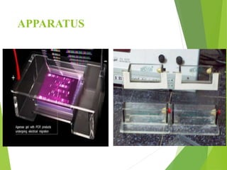 APPARATUS
 