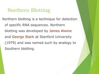 Northern Blotting
Northern blotting is a technique for detection
of specific RNA sequences. Northern
blotting was developed by James Alwine
and George Stark at Stanford University
(1979) and was named such by analogy to
Southern blotting.
 