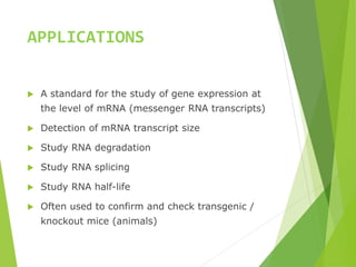 APPLICATIONS
 A standard for the study of gene expression at
the level of mRNA (messenger RNA transcripts)
 Detection of mRNA transcript size
 Study RNA degradation
 Study RNA splicing
 Study RNA half-life
 Often used to confirm and check transgenic /
knockout mice (animals)
 