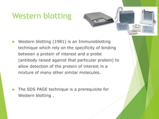 Western blotting
 Western blotting (1981) is an Immunoblotting
technique which rely on the specificity of binding
between a protein of interest and a probe
(antibody raised against that particular protein) to
allow detection of the protein of interest in a
mixture of many other similar molecules.
 The SDS PAGE technique is a prerequisite for
Western blotting .
 