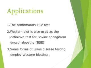 Applications
1.The confirmatory HIV test
2.Western blot is also used as the
definitive test for Bovine spongiform
encephalopathy (BSE(
3.Some forms of Lyme disease testing
employ Western blotting .
 