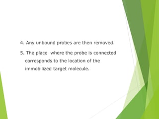 4. Any unbound probes are then removed.
5. The place where the probe is connected
corresponds to the location of the
immobilized target molecule.
 