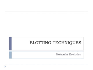 BLOTTING TECHNIQUES
Molecular Evolution
 