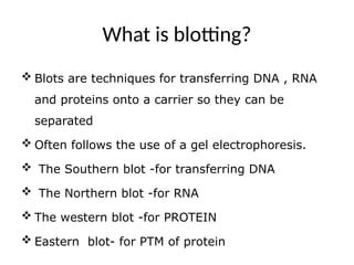 What is blotting?
 Blots are techniques for transferring DNA , RNA
and proteins onto a carrier so they can be
separated
 Often follows the use of a gel electrophoresis.
 The Southern blot -for transferring DNA
 The Northern blot -for RNA
 The western blot -for PROTEIN
 Eastern blot- for PTM of protein
 