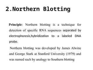 2.Northern Blotting
Principle: Northern blotting is a technique for
detection of specific RNA sequences separated by
electrophoresis,hybridization to a labeled DNA
probe.
Northern blotting was developed by James Alwine
and George Stark at Stanford University (1979) and
was named such by analogy to Southern blotting
 