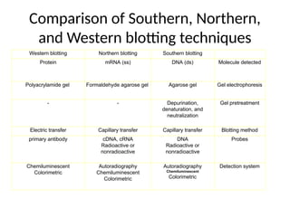 Comparison of Southern, Northern,
and Western blotting techniques
Southern blotting
Northern blotting
Western blotting
Molecule detected
DNA (ds)
mRNA (ss)
Protein
Gel electrophoresis
Agarose gel
Formaldehyde agarose gel
Polyacrylamide gel
Gel pretreatment
Depurination,
denaturation, and
neutralization
-
-
Blotting method
Capillary transfer
Capillary transfer
Electric transfer
Probes
DNA
Radioactive or
nonradioactive
cDNA, cRNA
Radioactive or
nonradioactive
primary antibody
Detection system
Autoradiography
Chemiluminescent
Colorimetric
Autoradiography
Chemiluminescent
Colorimetric
Chemiluminescent
Colorimetric
 