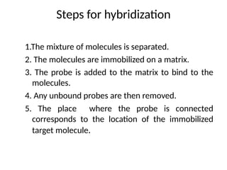 Steps for hybridization
1.The mixture of molecules is separated.
2. The molecules are immobilized on a matrix.
3. The probe is added to the matrix to bind to the
molecules.
4. Any unbound probes are then removed.
5. The place where the probe is connected
corresponds to the location of the immobilized
target molecule.
 