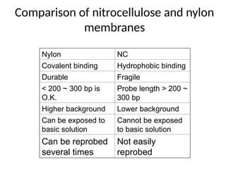 Comparison of nitrocellulose and nylon
membranes
NC
Nylon
Hydrophobic binding
Covalent binding
Fragile
Durable
Probe length > 200 ~
300 bp
< 200 ~ 300 bp is
O.K.
Lower background
Higher background
Cannot be exposed
to basic solution
Can be exposed to
basic solution
Not easily
reprobed
Can be reprobed
several times
 