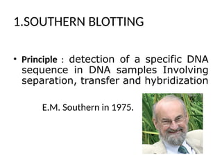 1.SOUTHERN BLOTTING
• Principle : detection of a specific DNA
sequence in DNA samples Involving
separation, transfer and hybridization
E.M. Southern in 1975.
 