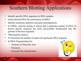 Southern Blotting Applications
• Identify specific DNA sequences in DNA samples
• Isolate desired DNA for construction of rDNA.
• Identify mutations, deletions and gene rearrangements.
• In GMOs, used for testing to ensure that a particular section of DNA of
known genetic sequence has been successfully incorporated into the
genome of the host organism.
• Phylogenetic analysis
• To determine the number of copies of a particular DNA sequence
• In DNA Fingerprinting for:
– Paternity & Maternity tests
– Forensics
– Personal/ Bio identification
 