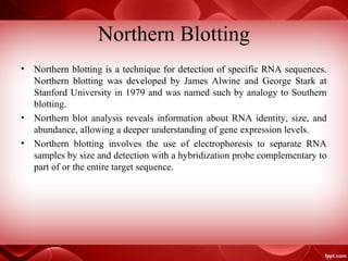 Northern Blotting
• Northern blotting is a technique for detection of specific RNA sequences.
Northern blotting was developed by James Alwine and George Stark at
Stanford University in 1979 and was named such by analogy to Southern
blotting.
• Northern blot analysis reveals information about RNA identity, size, and
abundance, allowing a deeper understanding of gene expression levels.
• Northern blotting involves the use of electrophoresis to separate RNA
samples by size and detection with a hybridization probe complementary to
part of or the entire target sequence.
 