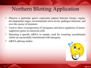Northern Blotting Application
• Observe a particular gene's expression pattern between tissues, organs,
developmental stages, environmental stress levels, pathogen infection, and
over the course of treatment.
• Used to show overexpression of oncogenes and down regulation of tumor-
suppressor genes in cancerous cells.
• Detecting a specific mRNA in sample, used for screening recombinants
which are successfully transformed with transgene.
• mRNA splicing studies
 