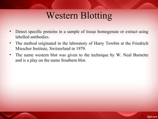 Western Blotting
• Detect specific proteins in a sample of tissue homogenate or extract using
labelled antibodies.
• The method originated in the laboratory of Harry Towbin at the Friedrich
Miescher Institute, Switzerland in 1979.
• The name western blot was given to the technique by W. Neal Burnette
and is a play on the name Southern blot.
 