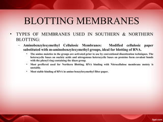 BLOTTING MEMBRANES
• TYPES OF MEMBRANES USED IN SOUTHERN & NORTHERN
BLOTTING:
– Aminobenzyloxymethyl Cellulosic Membranes: Modified cellulosic paper
substituted with m-aminobenzyloxymethyl groups, ideal for blotting of RNA.
• The amino moieties in the groups are activated prior to use by conventional diazotization techniques. The
heterocyclic bases on nucleic acids and nitrogenous heterocyclic bases on proteins form covalent bonds
with the phenyl ring containing the diazo group.
• Most preffered used for Northern Blotting. RNA binding with Nitrocellulose membrane moiety is
unstable.
• Most stable binding of RNA in amino benzyloxymethyl filter paper.
 