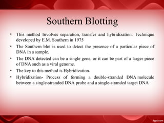 Southern Blotting
• This method Involves separation, transfer and hybridization. Technique
developed by E.M. Southern in 1975
• The Southern blot is used to detect the presence of a particular piece of
DNA in a sample.
• The DNA detected can be a single gene, or it can be part of a larger piece
of DNA such as a viral genome.
• The key to this method is Hybridization.
• Hybridization- Process of forming a double-stranded DNA molecule
between a single-stranded DNA probe and a single-stranded target DNA
 