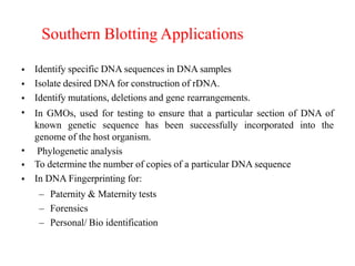 Southern Blotting Applications
•
•
•
•
•
•
•
Identify specific DNA sequences in DNA samples
Isolate desired DNA for construction of rDNA.
Identify mutations, deletions and gene rearrangements.
In GMOs, used for testing to ensure that a particular section of DNA of
known genetic sequence has been successfully incorporated into the
genome of the host organism.
Phylogenetic analysis
To determine the number of copies of a particular DNA sequence
In DNA Fingerprinting for:
– Paternity & Maternity tests
– Forensics
– Personal/ Bio identification
 