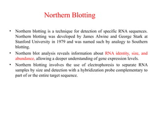 Northern Blotting
•
•
•
Northern blotting is a technique for detection of specific RNA sequences.
Northern blotting was developed by James Alwine and George Stark at
Stanford University in 1979 and was named such by analogy to Southern
blotting.
Northern blot analysis reveals information about RNA identity, size, and
abundance, allowing a deeper understanding of gene expression levels.
Northern blotting involves the use of electrophoresis to separate RNA
samples by size and detection with a hybridization probe complementary to
part of or the entire target sequence.
 