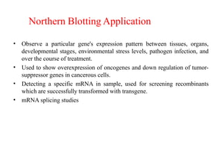 Northern Blotting Application
•
•
•
•
Observe a particular gene's expression pattern between tissues, organs,
developmental stages, environmental stress levels, pathogen infection, and
over the course of treatment.
Used to show overexpression of oncogenes and down regulation of tumor-
suppressor genes in cancerous cells.
Detecting a specific mRNA in sample, used for screening recombinants
which are successfully transformed with transgene.
mRNA splicing studies
 