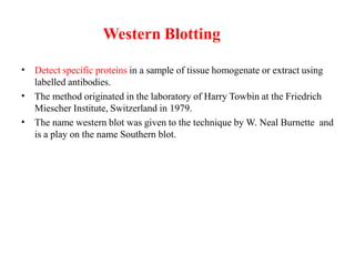Western Blotting
•
•
•
Detect specific proteins in a sample of tissue homogenate or extract using
labelled antibodies.
The method originated in the laboratory of Harry Towbin at the Friedrich
Miescher Institute, Switzerland in 1979.
The name western blot was given to the technique by W. Neal Burnette and
is a play on the name Southern blot.
 