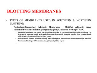 BLOTTING MEMBRANES
• TYPES OF MEMBRANES USED IN SOUTHERN & NORTHERN
BLOTTING:
– Aminobenzyloxymethyl Cellulosic Membranes: Modified cellulosic paper
substituted with m-aminobenzyloxymethyl groups, ideal for blotting of RNA.
•
•
The amino moieties in the groups are activated prior to use by conventional diazotization techniques. The
heterocyclic bases on nucleic acids and nitrogenous heterocyclic bases on proteins form covalent bonds
with the phenyl ring containing the diazo group.
• Most preffered used for Northern Blotting. RNA binding with Nitrocellulose membrane moiety is unstable.
Most stable binding of RNA in amino benzyloxymethyl filter paper.
 